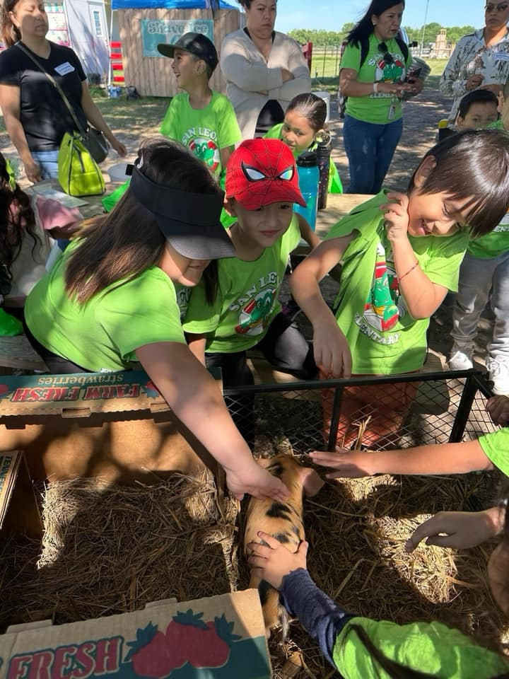 Students petting pigs on Froberg's Farm.