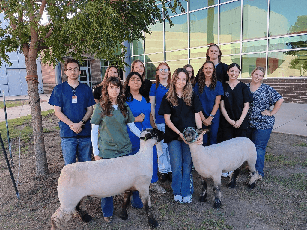 EMS ISD students standing with sheep they sheared