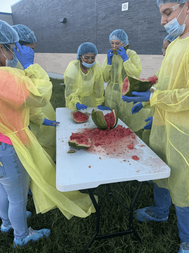 students participating in rubber band watermelon experiment